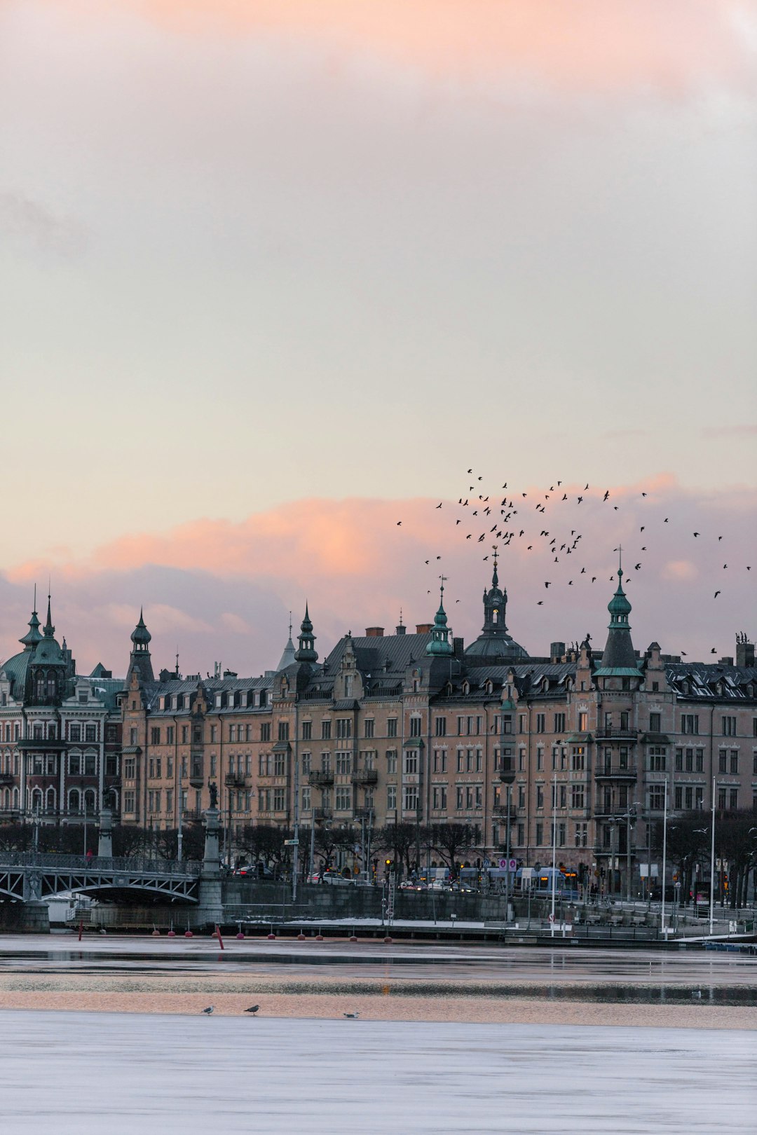 Anna Lindgren - Claims Specialist